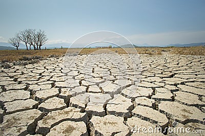 Global warming issue, ground land are dry, drought conditions Stock Photo