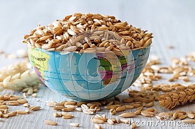 Globe filled with grain, concept of global food scarcity and hunger, export and import cereal Stock Photo