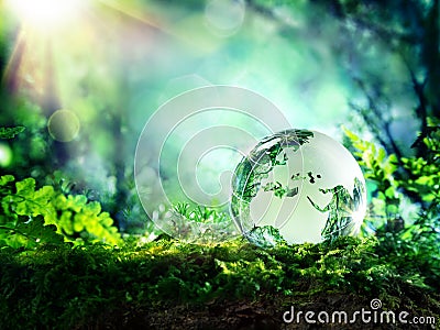 Globe on moss in a forest - Europe Stock Photo