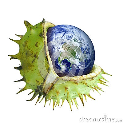 Globe protected in the shell of a chestnut, symbol of environmental protection Stock Photo