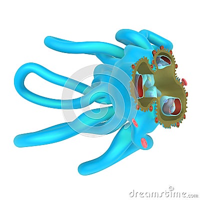 Glomerulonephritis Stock Photo