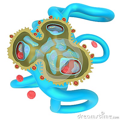 Glomerulonephritis Stock Photo