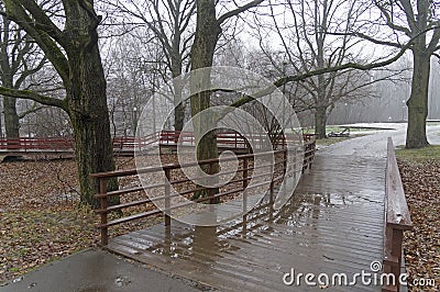 Gloomy autumn in a forest park Stock Photo