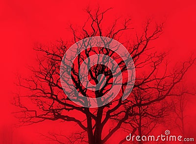 Gloomy oak in red mist Stock Photo