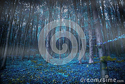 Gloomy surreal woods with lights and blue vegetation, magic fair Stock Photo