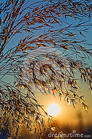 Glorious day - sun rising on a cool summer morning Stock Photo