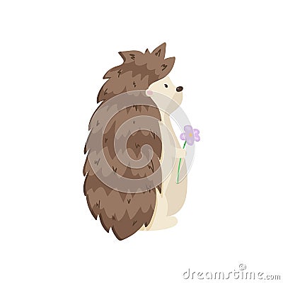 Glorious hedgehog stands and looks into the distance, holding beautiful flower. Side view on white background Vector Illustration