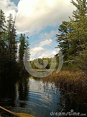 Glorious nature rivers bend Stock Photo