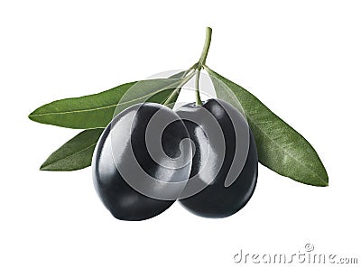 Glossy black olives on branch isolated on white background Stock Photo