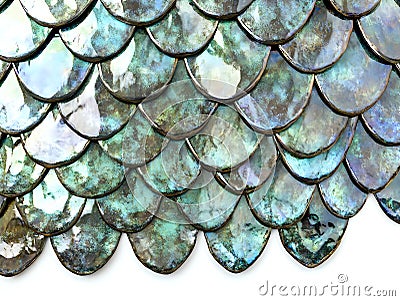 Glossy Iridescent Python Snake Scale Pattern with Rich Textural Detail Stock Photo