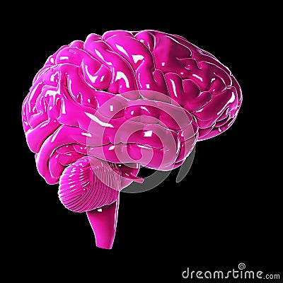 Glossy pink brain Cartoon Illustration