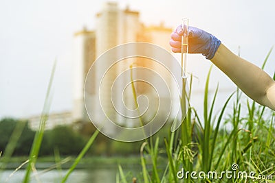 A gloved hand collects water into a test tube. Sampling from open water in a city water body. Scientist or biologist Stock Photo