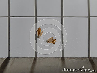 Gloves left on the window of the roof Stock Photo