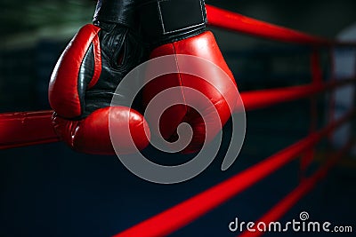 Gloves on the ring ropes, boxing concept, nobody Stock Photo