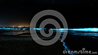 Glowing bioluminescent beach with glowing waves Stock Photo