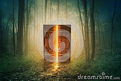 Glowing door in forest Stock Photo