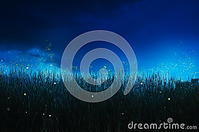 Firefly on a grass field at night Stock Photo