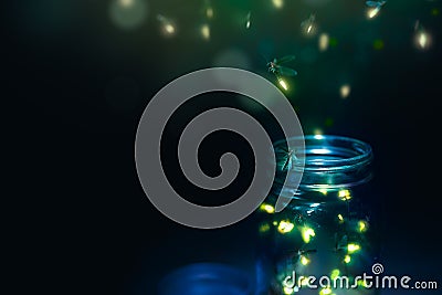 Firegly on a grass field at night Stock Photo