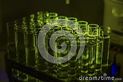 Glowing fluorescent organic compound fluid collected from column chromatography in multiple test tube in a chemistry laboratory Stock Photo