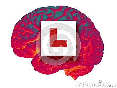 GLOWING HUMAN BRAIN WITH RED LEARNER L PLATE Stock Photo