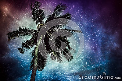 Natural glowing of the milky way and the starry with coconut plam. Stock Photo