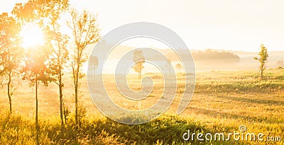 Glowing sunrise shines onto the mist and golden grassland Stock Photo