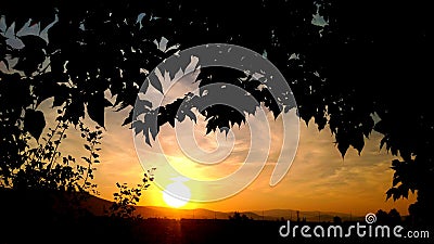 Glowing sunrise vibes Stock Photo