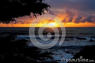 Sunset on Coast Framed by Trees Stock Photo