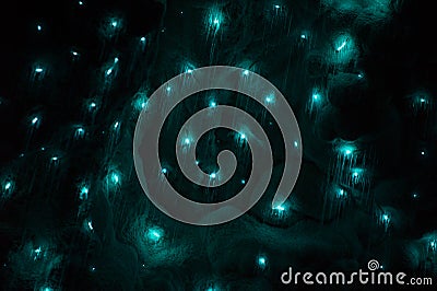 Glowworms in waitomo cave new Zealand Stock Photo