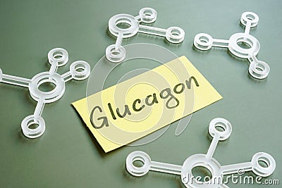 Glucagon handwritten on sticker and chemical models. Stock Photo