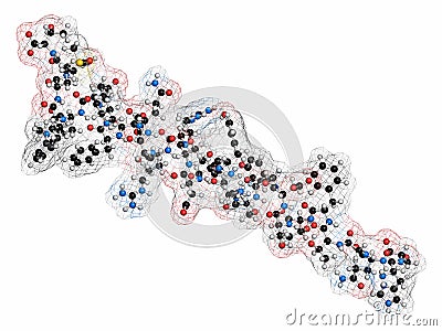 Glucagon peptide hormone. Has blood sugar level increasing effects, balancing the effect of insulin. 3D rendering. Atoms are Stock Photo