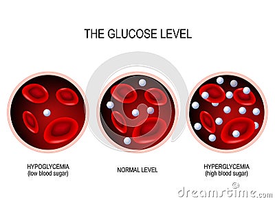 Glucose in the blood vessel. Vector Illustration