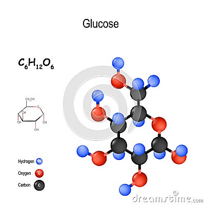 Glucose. Chemical structural formula and model of molecule. C6H12O6 Vector Illustration