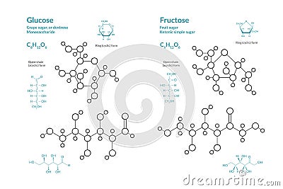 Glucose and Fructose. C6H12O6. The Structural Formula of a Chemical Compound Vector Illustration