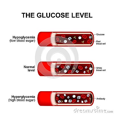 Glucose level Vector Illustration