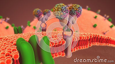 Glucose Metabolism Stock Photo