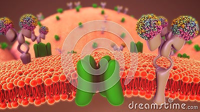 Glucose Metabolism Stock Photo