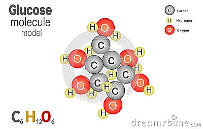 Glucose molecule model, molecule is formed from 6 carbon atoms, 12 hydrogen atoms and 6 oxygen atoms linked together. molecular Vector Illustration