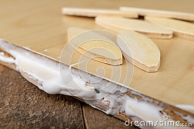 Gluing chipboards in the workshop using sipes. Minor carpentry work in the woodworking shop Stock Photo