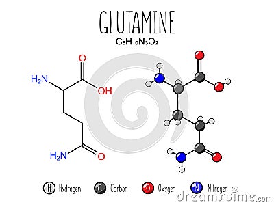 Glutamine amino acid representation. Vector Illustration