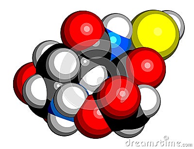 Glutathione oxidized glutathione, GSSG molecule. 3D rendering. Atoms are represented as spheres with conventional color coding:. Vector Illustration