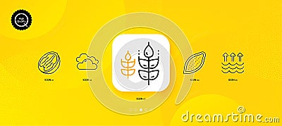 Gluten free, Cocoa nut and Evaporation minimal line icons. For web application, printing. Vector Vector Illustration