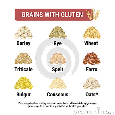 Gluten-free and containing gluten grains infographic. Healthy and unhealthy grains and seeds by celiac disease. Square format. Vector Illustration