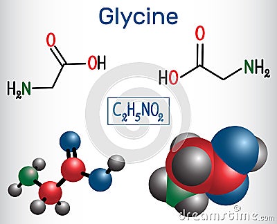 Glycine Gly or G, is the amino acid. Structural chemical form Vector Illustration