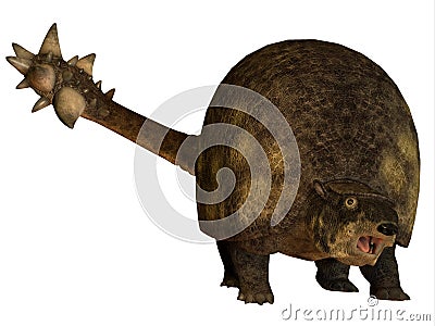 Glyptodont over White Stock Photo