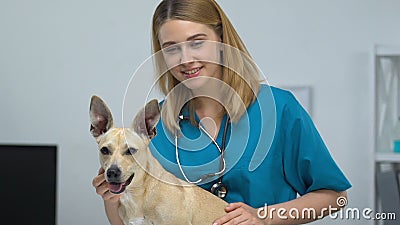 Glücklicher Haustierkliniker, der süßer Hund beim Anschauen von Kamera, Tiermedizin stock footage Glücklicher Haustierkliniker, der süßer Hund beim Anschauen von Kamera, Tiermedizin stock footage
