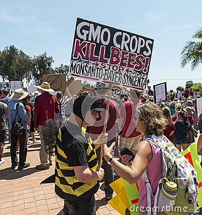 GMO Crops kills bees! Editorial Stock Photo