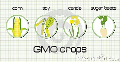 GMO crops Vector Illustration