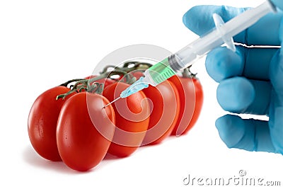 GMO food and chemicals in vegetables concept. Hand in a glove makes an injection with a syringe with a solution of ripe Stock Photo