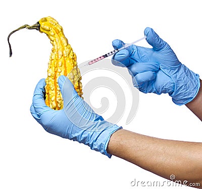 GMO food. Genetically modified squash. Genetic injection into pumpkin isolated on white background. Unusual gourd and syringe Stock Photo